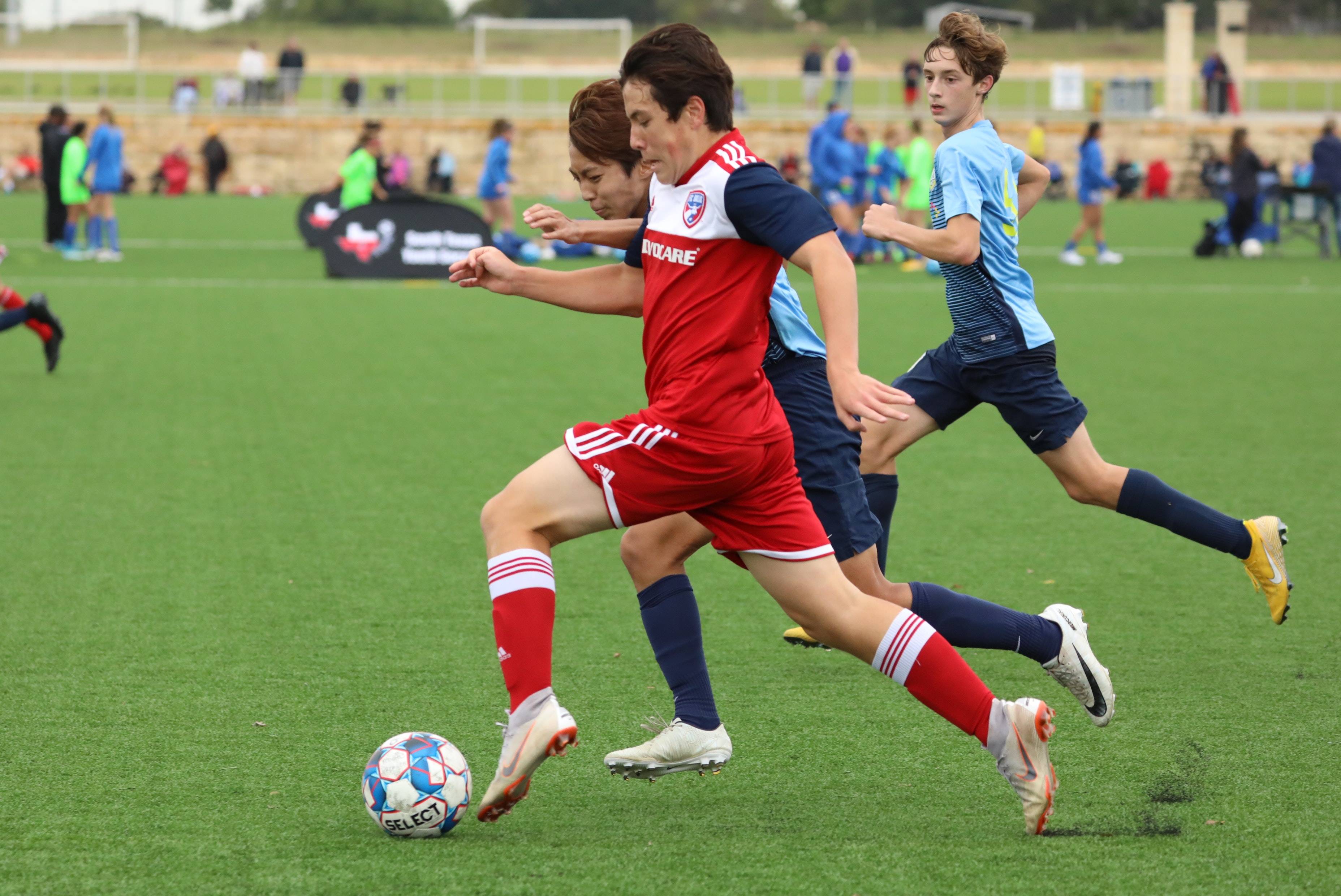 与女足世界 与女足世界