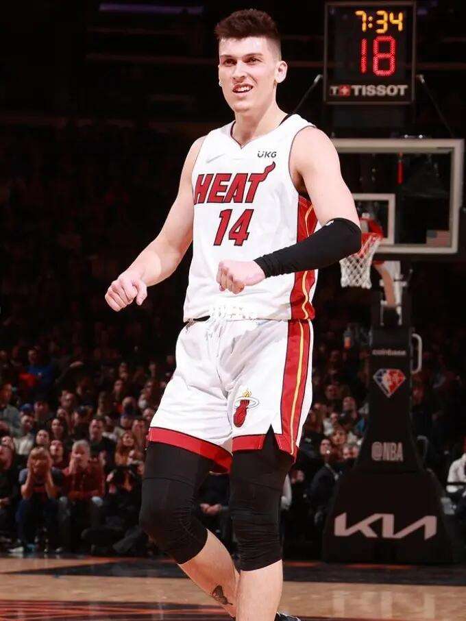 森林适配度 森林适配度